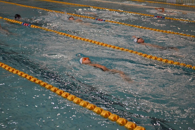 北京游泳教练培训班
