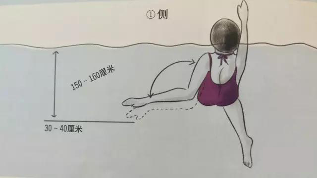 游泳教练培训班.jpg